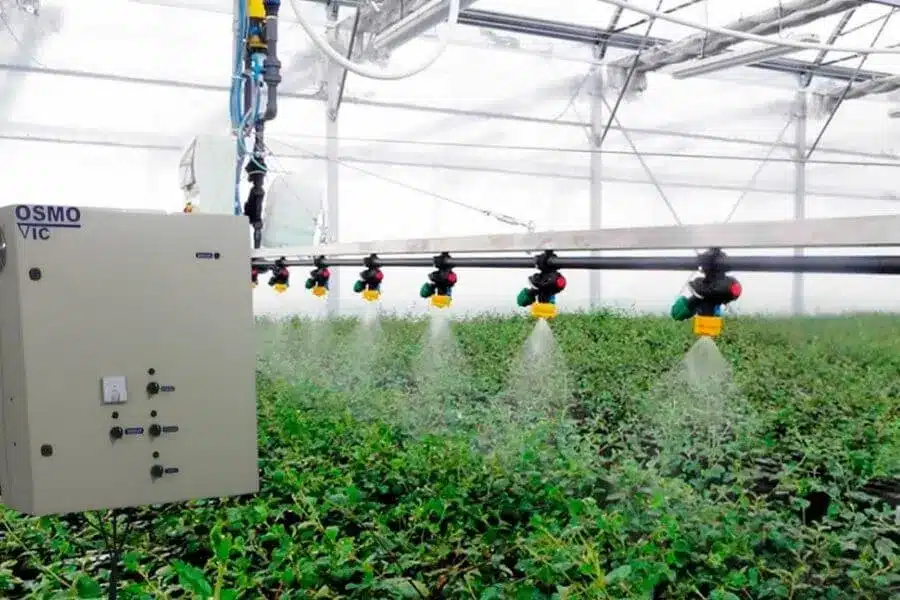 Riego con Agua Ozonizada en cultivo de Alimentos - OSMOVIC