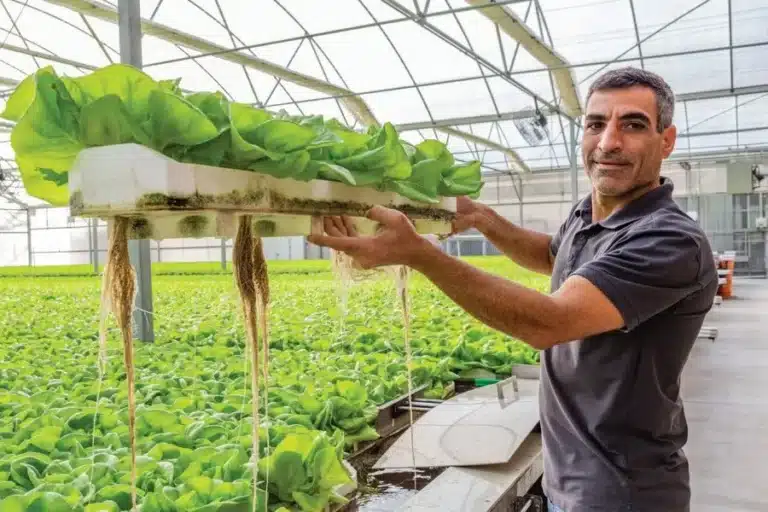 Tratamiento de Agua para Hidroponía OSMOVIC