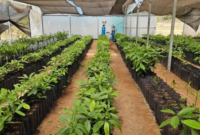 Equipo para tratamiento de Agua en plantaciones instalado en Jujuy